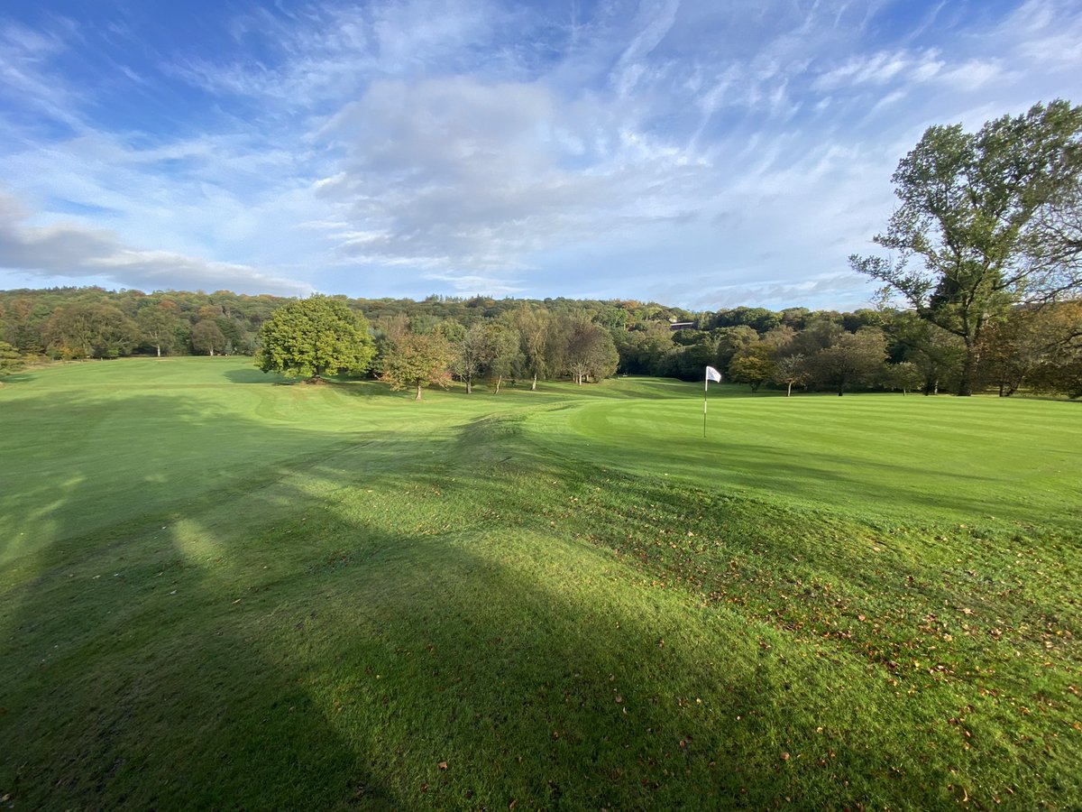 Chris Wood tweet media