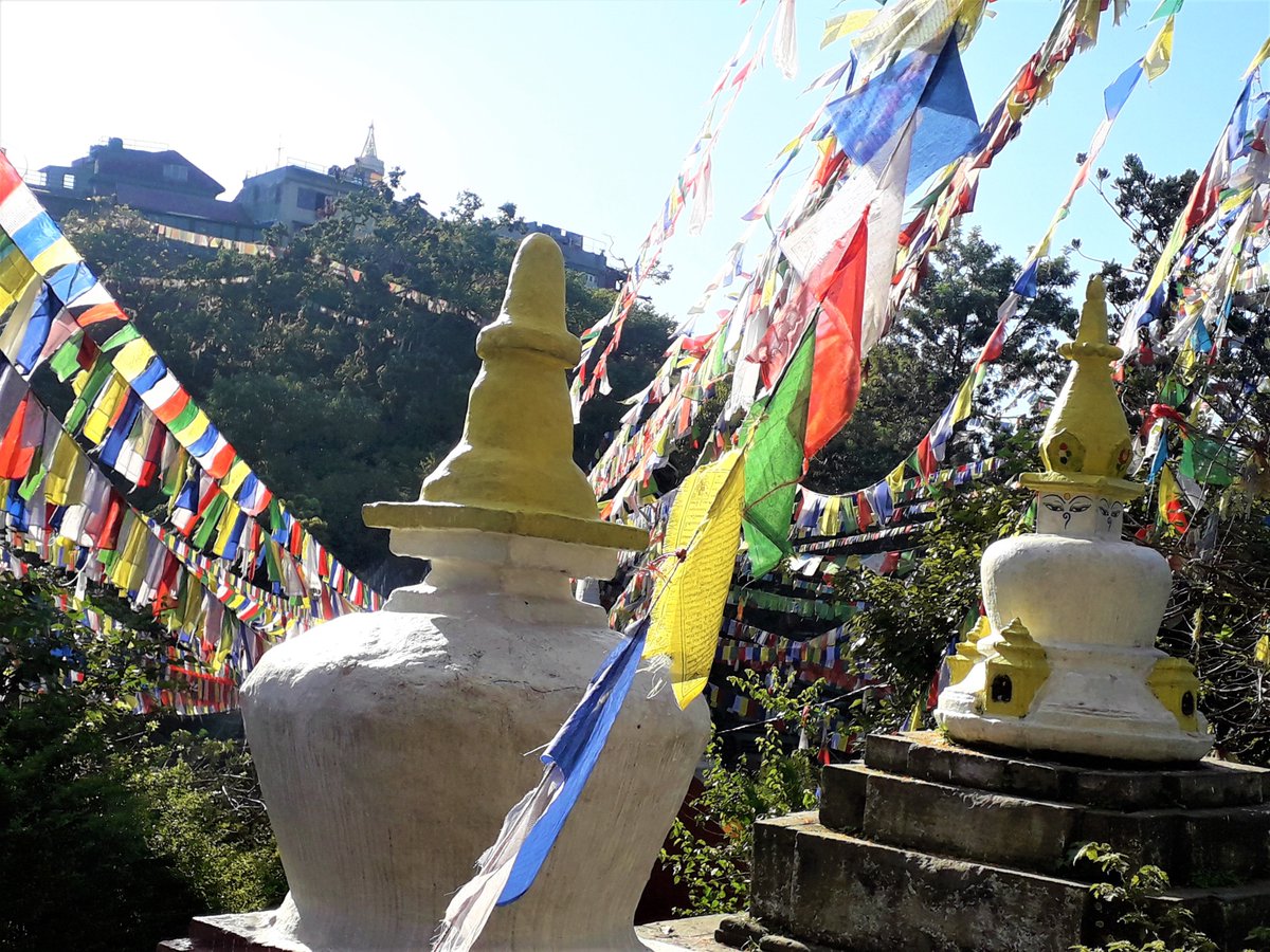 NepalVisit3's tweet photo. Welcome to Nepal. We are an authentic government recognized Travel/ Trekking commercial agency in Nepal. We Offer: Trekking (Tea house / Camping) Adventure expedition including Mt. Everest, Hunting on Himalayan region, etc. Plz. write to us in our inbox for further information. https://t.co/HyALBnf0r9