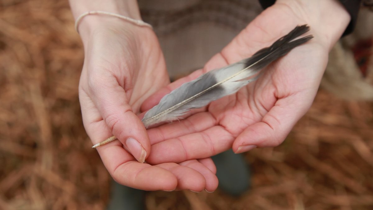 2022symposium's tweet photo. CALL OUT FOR PROPOSALS - Sentient Performativities
We are inviting proposals from practitioners to explore and share embodied approaches to bridge the human, plant and animal divide.

Deadline: 14th NOV 2021 (23:00 GMT)

https://t.co/JeITdjeas2 

#somaticmovement #performance https://t.co/vUURxMXPR6