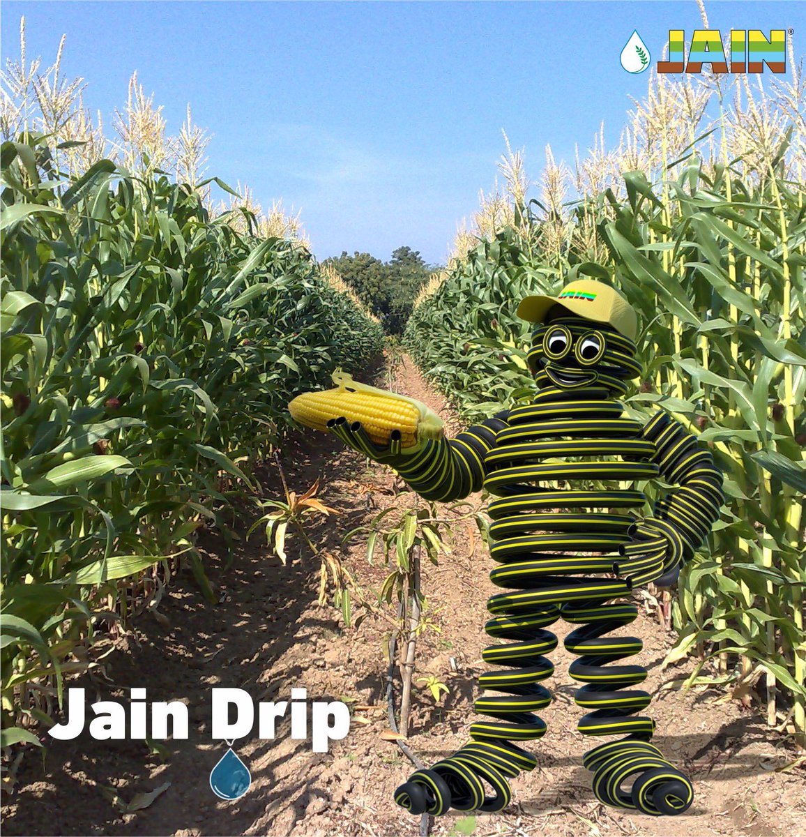 JainIrrigation's tweet photo. Attain A"Maize"ing yields along with gaining bumper profits by opting #JainTechnology for #MaizeFarming 🌽
Use #JainDripLines #JTurbolineSuper #JTurboTop for more prosperous results in your maize farm 🌽 gaining #BetterYieldGreaterProfit ✨
#JainDrip 💧
#FarmersFirstChoice 👨🏻🌾 https://t.co/A0sZsBslTg