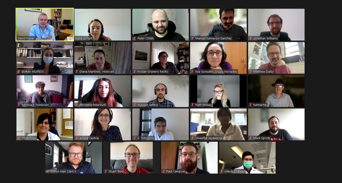 Amazing discussion in the Translational Day of our European project #HEALIKICK! A special thank you to David Fraser, Dietmar Hutmacher, Dr. med. Serafim Tsitsilonis and Ana for their advice #bonehealing #nonunionfractures #future #research #science #WeCanDoThis