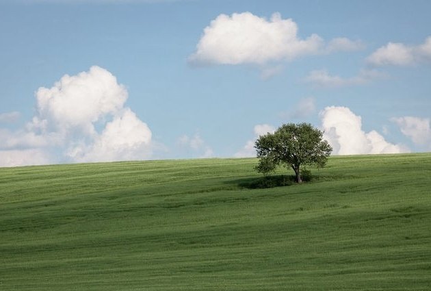 Healing ☁️🌳
