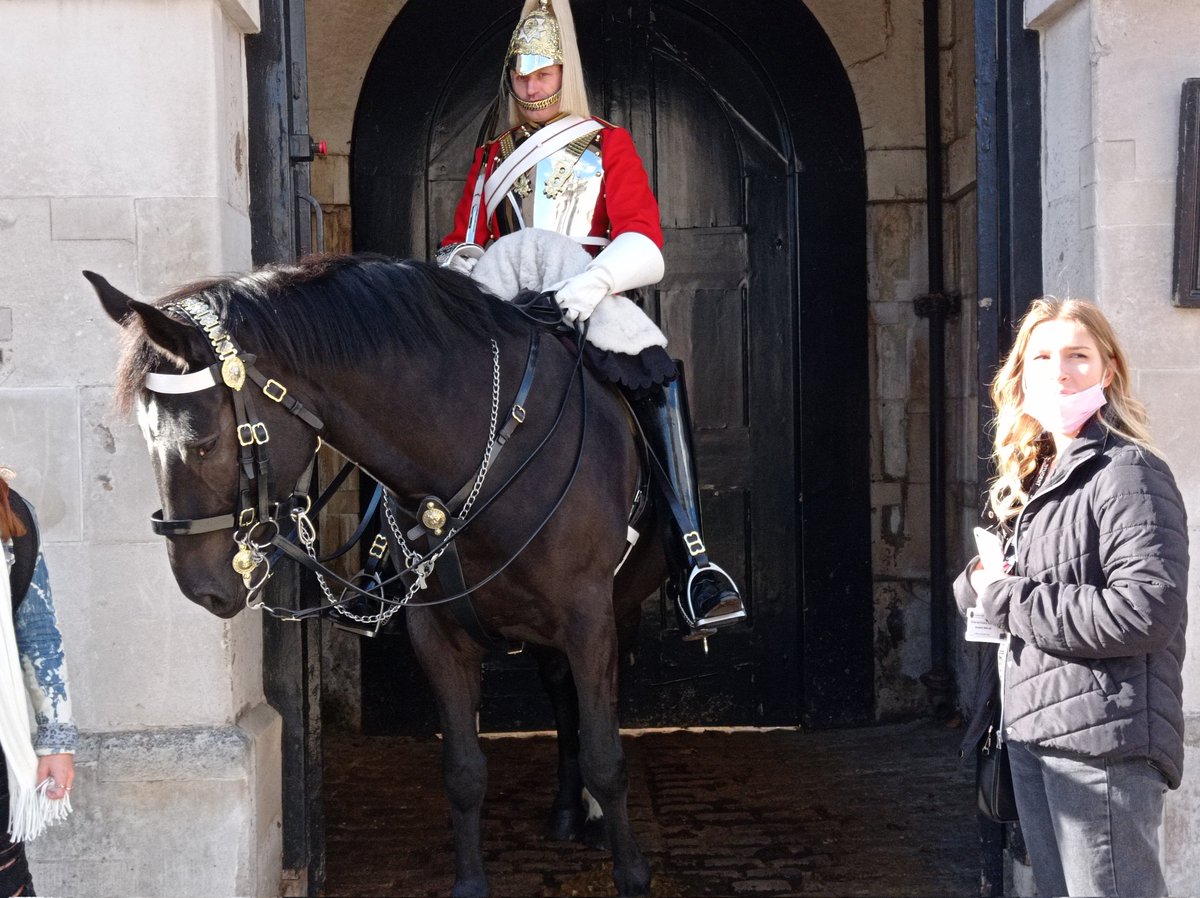 TeamRingRBA13's tweet photo. Libby had to stop and say hello to the Queen's guard horses of course #horsegirl #RBAmonopoly #TeamRing2021 https://t.co/q33LlDVbG4