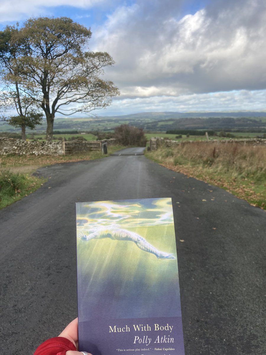 LorenCafferty's tweet photo. The magic cattlegrid in the Forest of Bowland being treated to some @pollyrowena poetry #MuchWithBody #poetry https://t.co/AEE4hgYasN