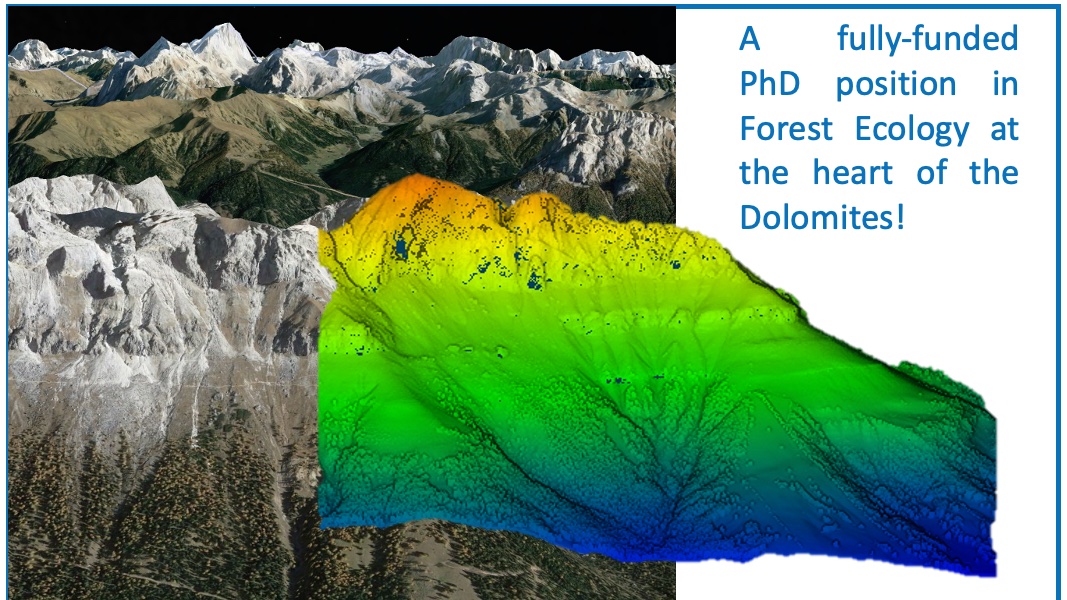 etomelleriunib1's tweet image. 🚨Are you still looking for a PhD position in Forest Ecology🌲🌳? Check this out👍! Application deadline: 5 November 2021, 12:00 (GTM + 2.00)  bit.ly/3nmFWc1 #unibz #ITTNet #Lidar #Treetalkers #IoT ⛷️🧗‍♀️🚵‍♀️
