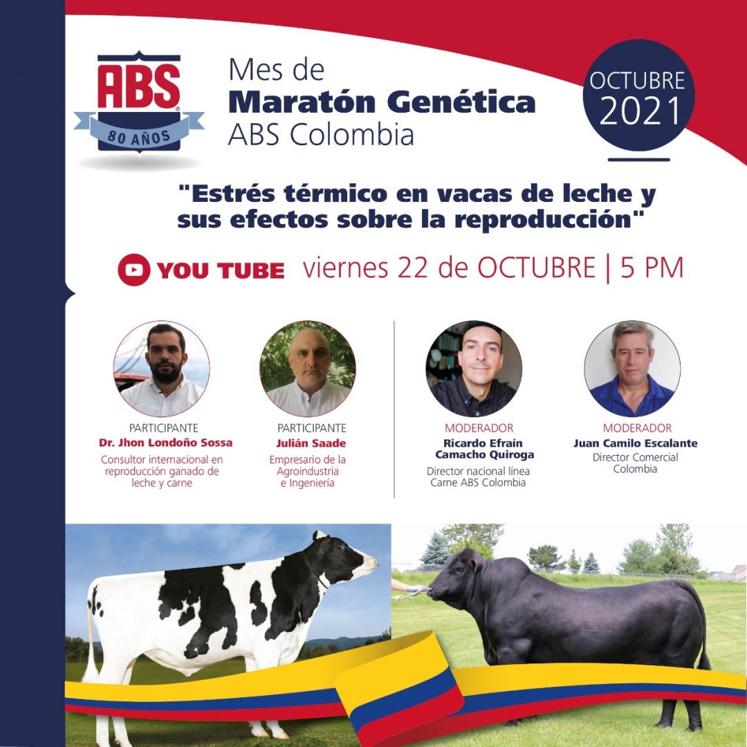 ABSLatinAmerica's tweet photo. 📣 Continuando con nuestro ciclo de charlas de la Maratón Genética, queremos invitarlos a nuestra siguiente charla sobre “Estrés térmico en vacas de leche y sus efectos sobre la reproducción”.

El webinar será transmitido en nuestro canal de YouTube. ¡Los esperamos! 🧬🐂🐄

#ABS https://t.co/MPxuvz8IPd