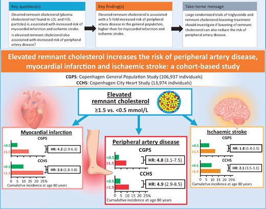 JTLLERGO's tweet photo. ⚠️ Elevated remnant cholesterol is associated:

📍With a 5️⃣ ❌ ⬆️ risk of peripheral artery disease, higher than for AMI and ischaemic stroke‼️

@secardiologia @clinica_sec @almucastro01 @acorderofort @riesgo_SEC @SACardiologia 

https://t.co/W4TwkO9QEO https://t.co/LuEv8Y7E7J