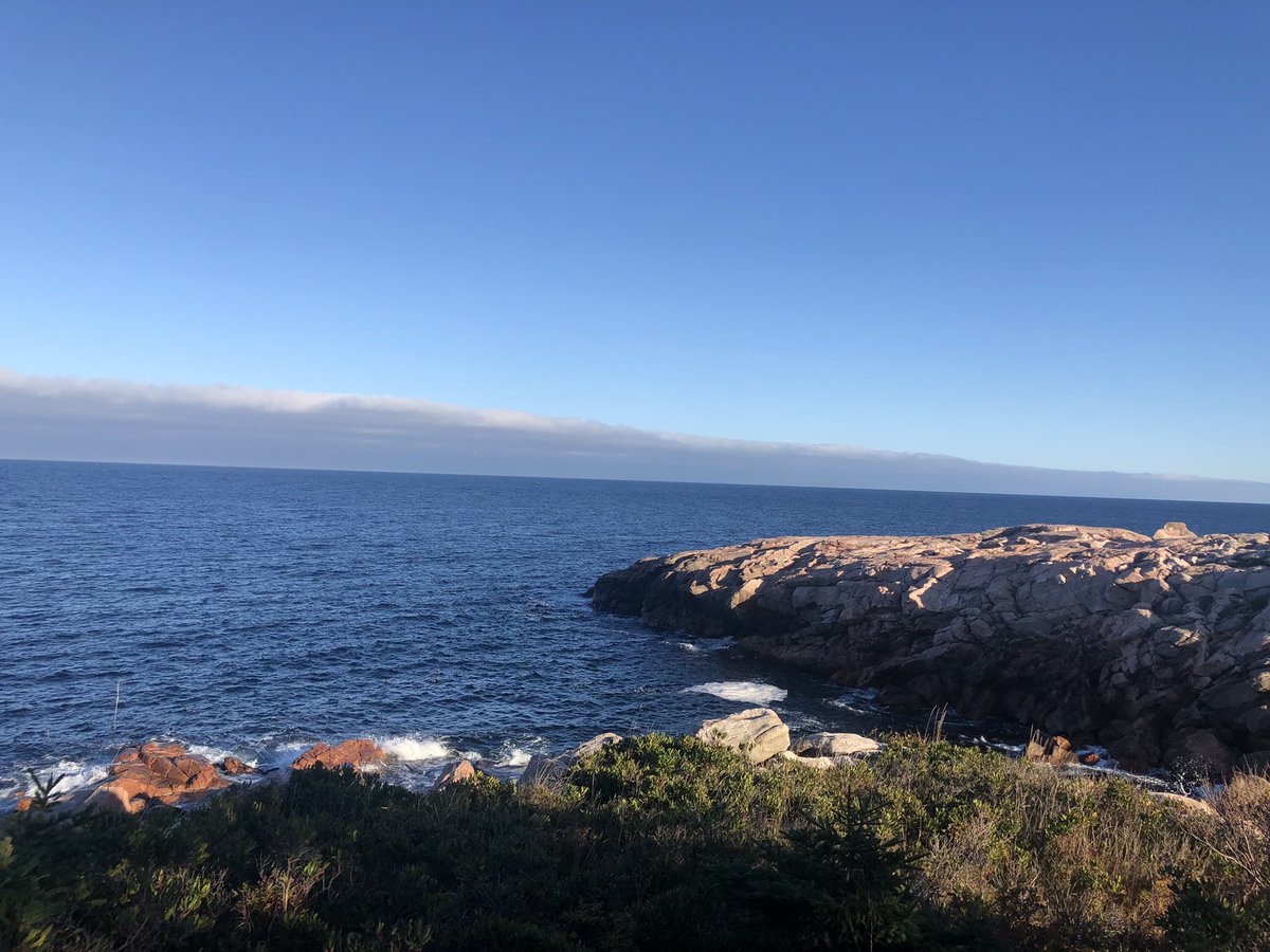 Steph Bernier tweet media