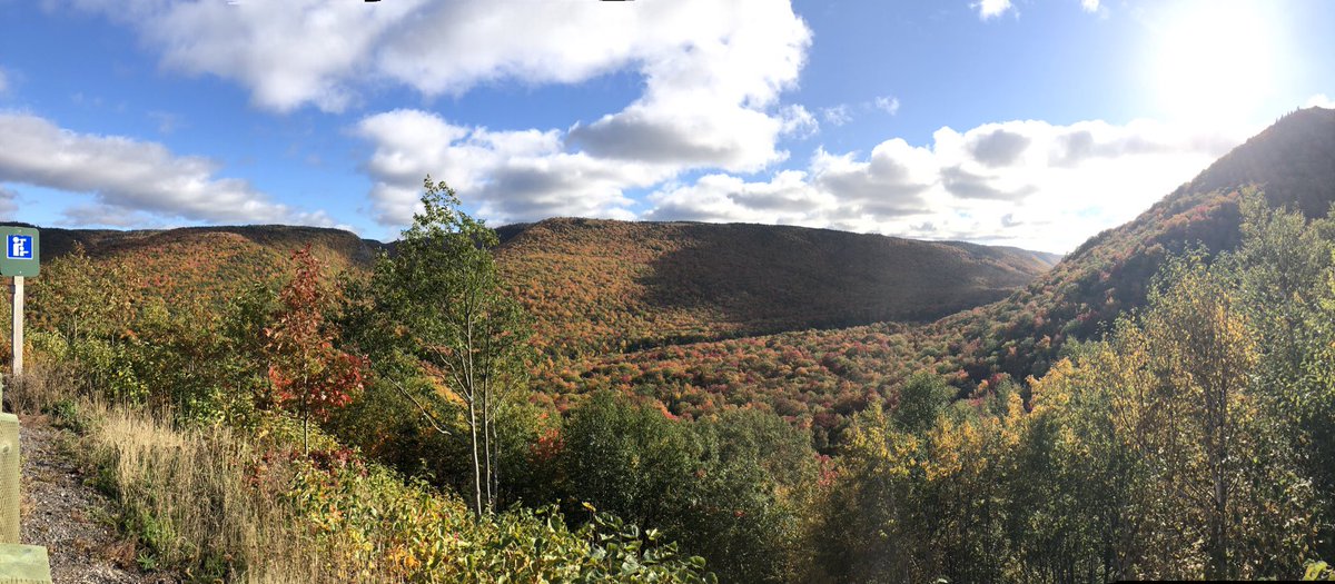 Steph Bernier tweet media