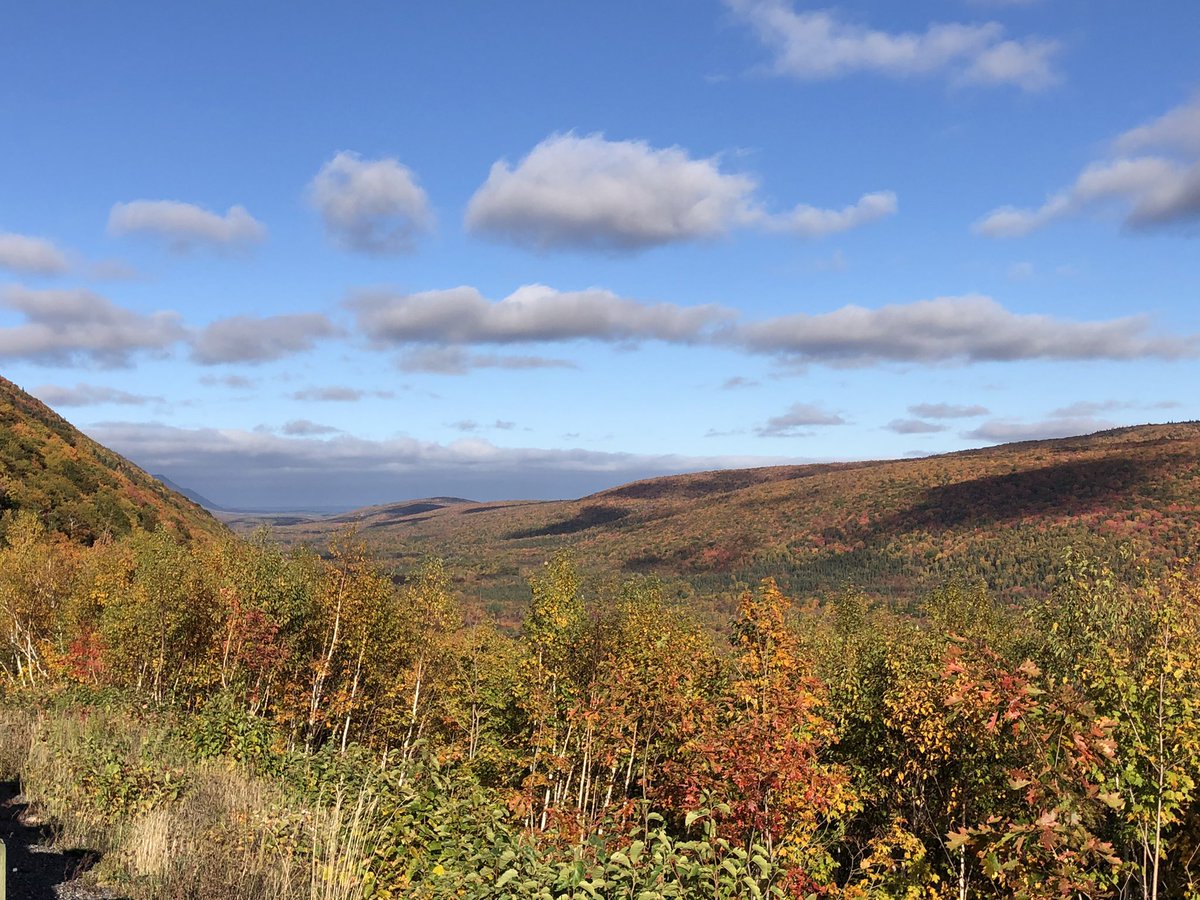 Steph Bernier tweet media