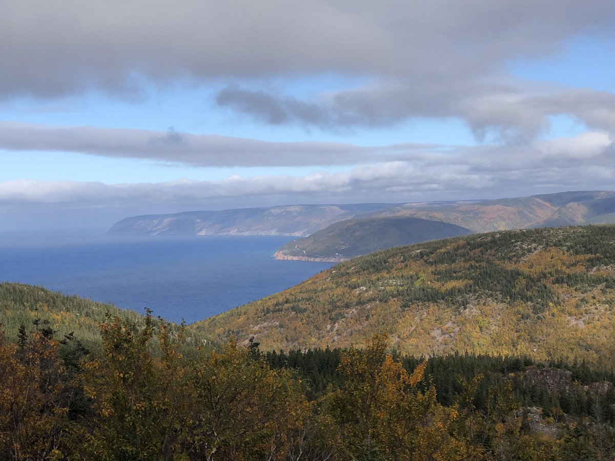 Steph Bernier tweet media