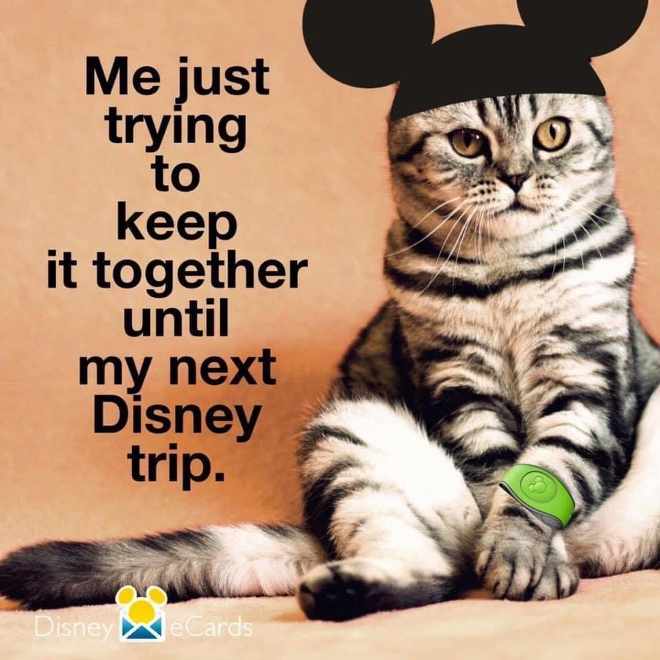 DisMomKnows's tweet photo. Facts! What’s your countdown? #countdowntodisney https://t.co/aVpDAuWIP4