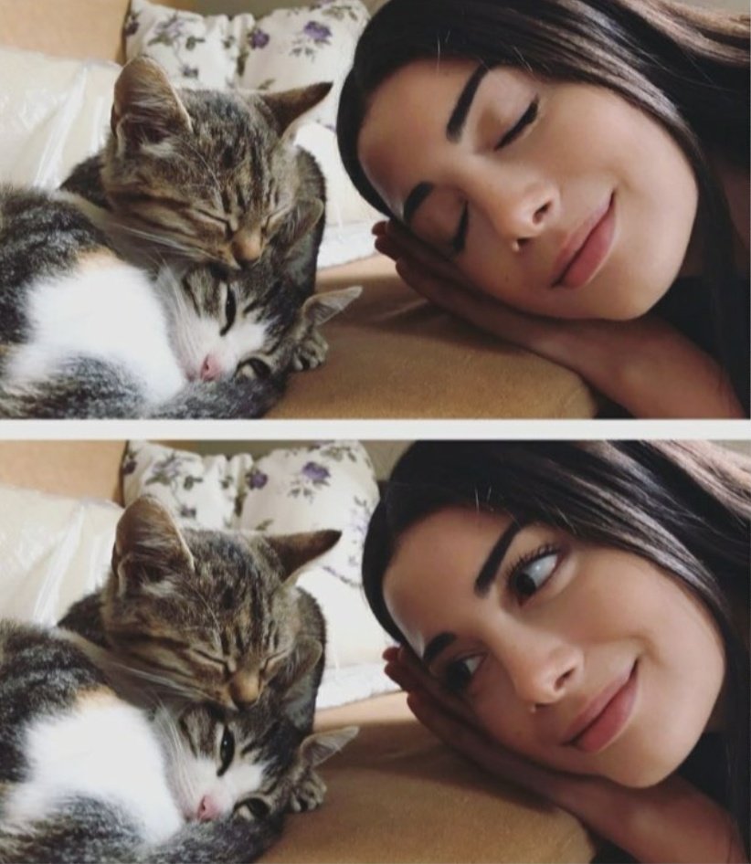 Kedi sevgisi 🥺❤️ #ÖzgeYağız 💞
<a href="/yagizozge/">Özge Yağız</a> #ozberk #yagizozge
