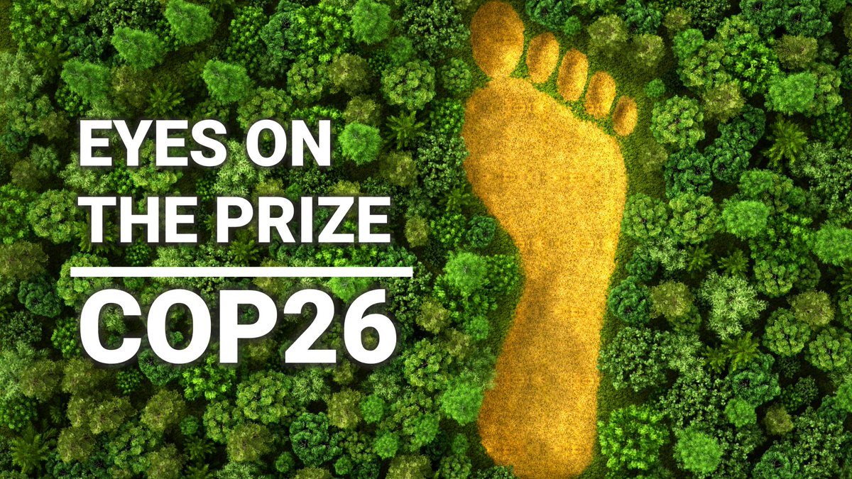 ESG ORACLE tweet media