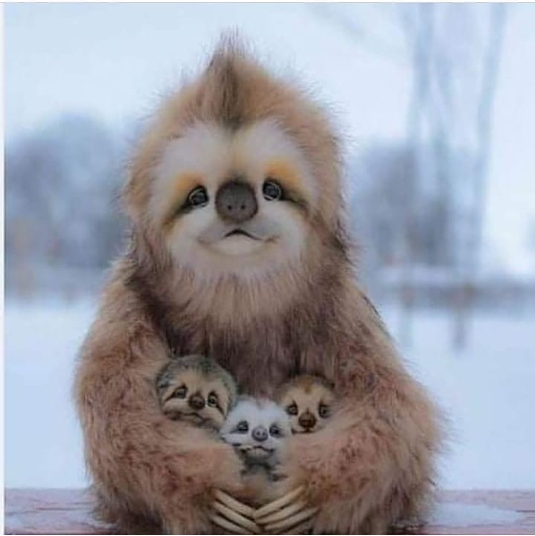 Libres_RT's tweet image. Caption this