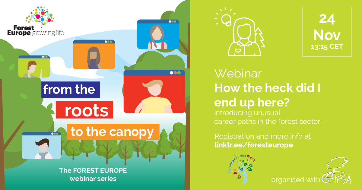 FORESTEUROPE's tweet photo. Studying a #forest related degree, but don't quite see yourself in a #traditional role? Innovative occupations have emerged as a result of the 🌳♻️💚🌍 green transition‼️
Get inspired in our webinar: How the heck did I end up here?
➡ https://t.co/nNBKWjgyEW
#EuropeanForestWeek https://t.co/0JxMO69JYA