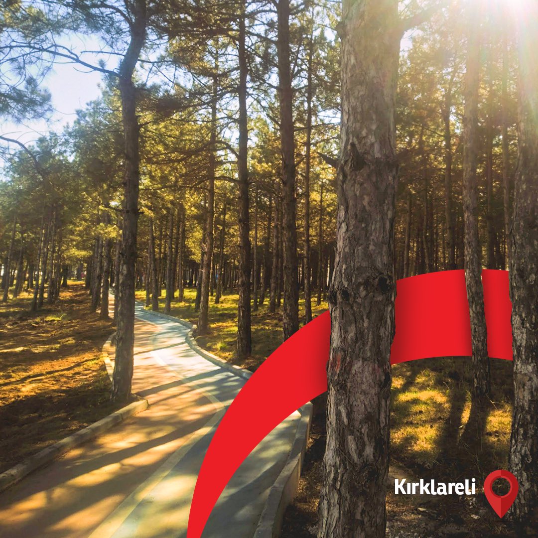 Sonbaharın keyfi en iyi yollarda yaşanır! 🏍
Siz de rotanızı belirleyin, motosikletinize atlayın ve doğanın güzelliklerini yerinde yaşayın. Yolda neye ihtiyacınız olursa Aytemiz’in Motorcu Dostu İstasyonları hep yanınızda! <a href="/AytemizOfficial/">Aytemiz</a> <a href="/motordostu/">Motorcu Dostu Trafik</a> <a href="/kesanbld/">Keşan Belediyesi</a>