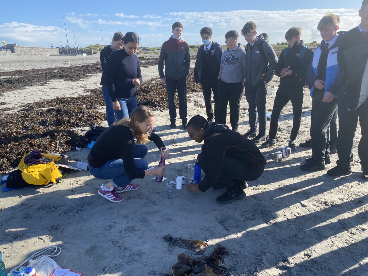 biOrbic_centre's tweet photo. Another great event on Wednesday, this time at the beach with the @GalwayAquarium! BiOrbic researchers ran a workshop all about the interesting qualities and benefits of seaweed for the #IrishBioeconomy! 

It was a slimy but very fun morning which all the kids enjoyed!  🌊🌱 https://t.co/sDyNwA4zOD
