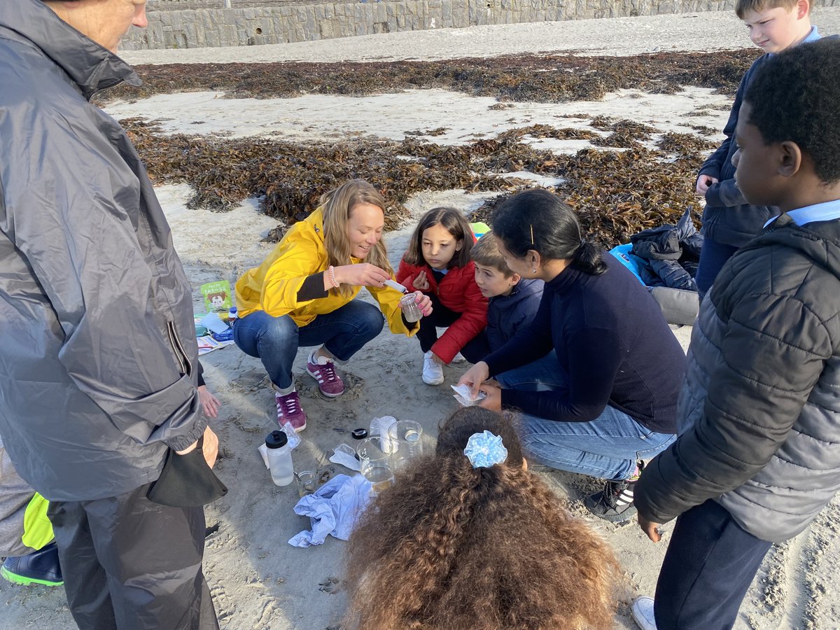 biOrbic_centre's tweet photo. Another great event on Wednesday, this time at the beach with the @GalwayAquarium! BiOrbic researchers ran a workshop all about the interesting qualities and benefits of seaweed for the #IrishBioeconomy! 

It was a slimy but very fun morning which all the kids enjoyed!  🌊🌱 https://t.co/sDyNwA4zOD