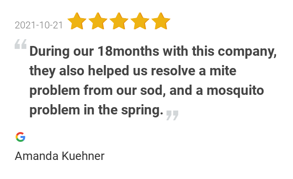 PestShieldSTL's tweet photo. New 5.0-star Review: "We have been getting the quarterly preventative treatment. During our 18months with this... https://t.co/iF2PryEB2n