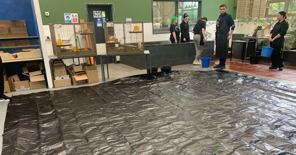 StHelensCollege's tweet photo. The impact on our local community goes beyond just humans- we have to consider the animals we share our space with too!

Our Animal Management students recently renovated the terrapin pond at our STEM Centre Campus.🐢

#CollegesWeek #LoveOurColleges #GetInGoFurther https://t.co/qjpkP8roWU