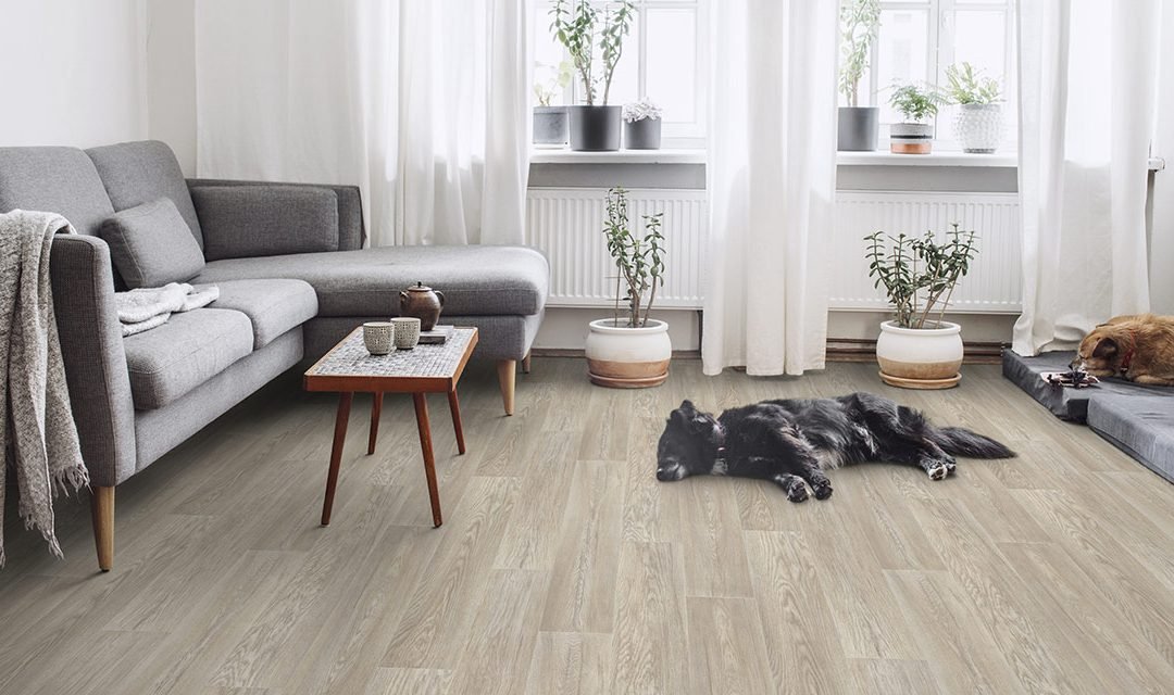 techoscalabuig's tweet photo. Suelos para hogar hay muchos, pero ¿Qué tipo de suelo es mejor para una casa?

https://t.co/crNS44jruv

#suelos #suelosceramica #suelosdepvc #sueloslaminados #suelosdevinilo #materialesdeconstruccion https://t.co/KYm7ycBXAt