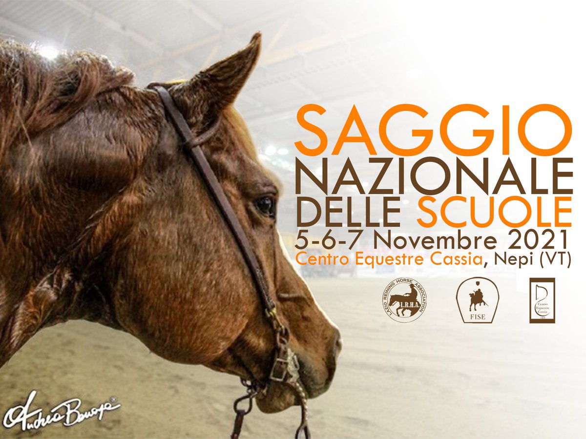 arhsreining's tweet photo. 💥 SCHEDULE 💥

✅ Ven 29 Ott:
👉 chiusura iscrizioni, allegare modulo
👉 inviare mail a segreteria@lrha.it

✅ Sab 6 Nov :
👉 prova Presentazione e Equitazione Americana

✅ Dom 7 Nov :
👉 prova di Reining e Pony Reining

#Saggio #Nazionale #Scuole
👇
https://t.co/5D24u9fYkw https://t.co/KTltEgTbt4