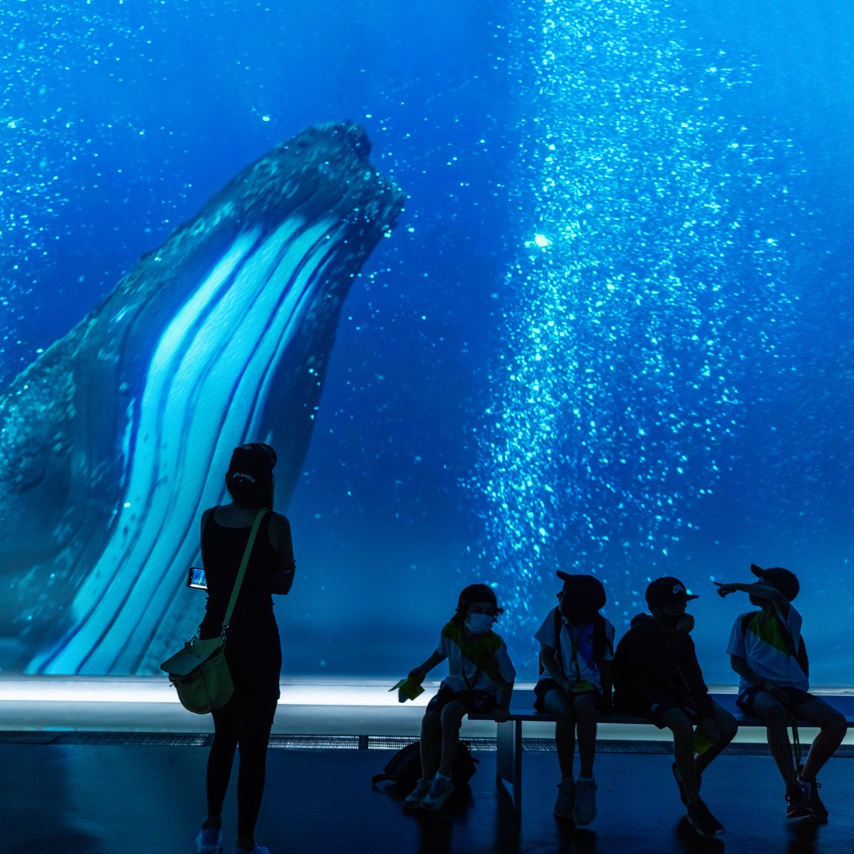 exposchoolprgrm's tweet photo. The fun never ends with Expo School Journeys! 🤩 What’s the first thing you’d like to see when you visit? 🙌

#ExpoSchoolProgramme #Expo2020 #Dubai #ExpoSpaceWeek https://t.co/FqTtL0Sz6n