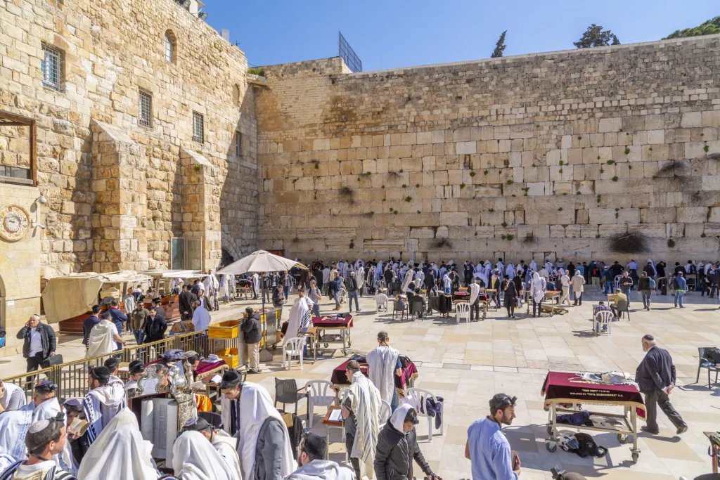 martinmatar's tweet photo. TG- BEST DEAL- Tourism News
From the beginning of November, anyone who is vaccinated with at least a second vaccine can visit Israel
If you intend to visit Israel soon, contact us and we will help you- tgbestdeal@gmail.com
@Alec_Baldwin #fridaymorning #GirlsPlanet999
@Kep1er @Mak https://t.co/nK0YFGEcNU