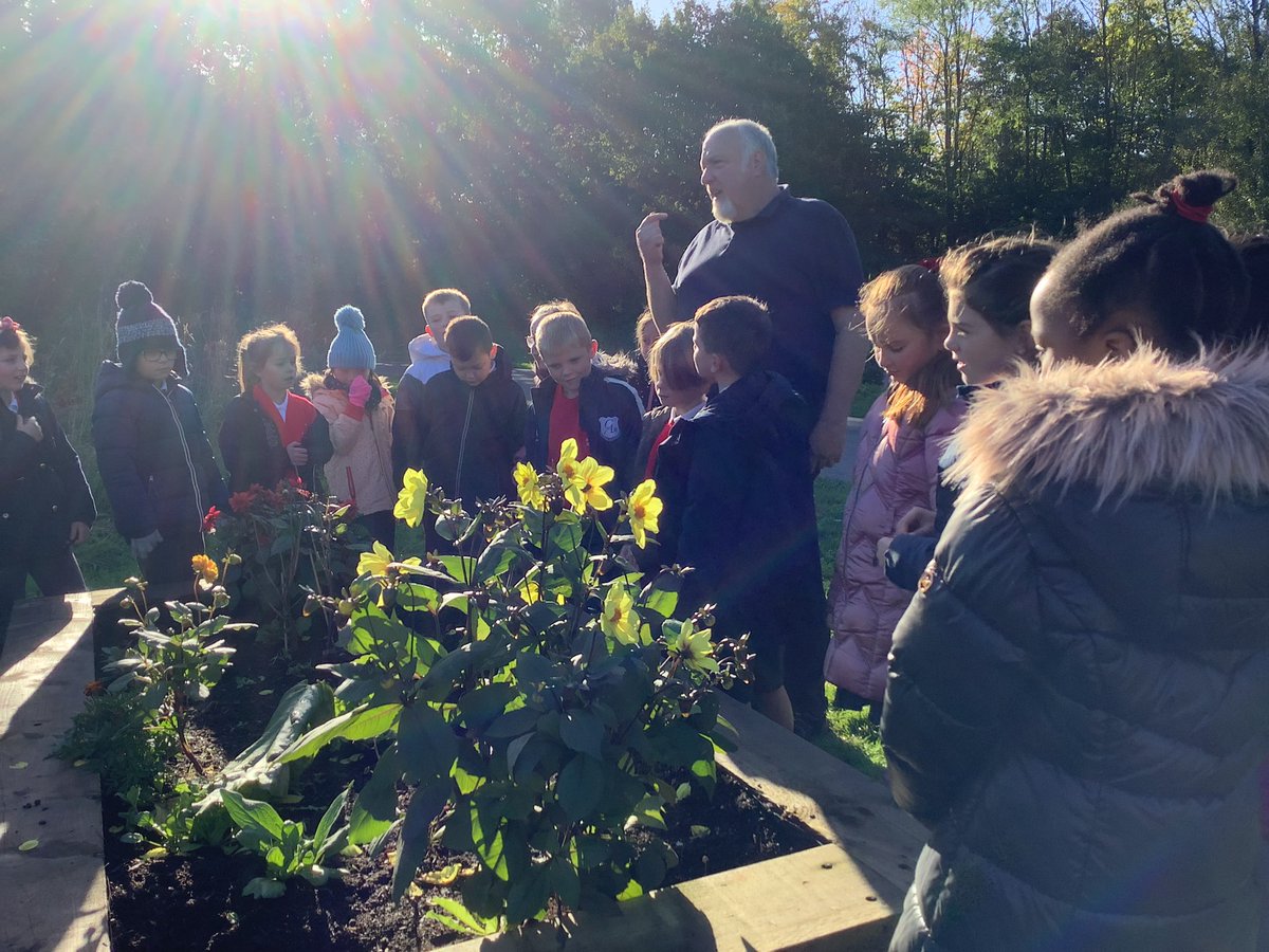 StPhilipsY5A's tweet photo. We were blessed with sunshine for our trip to the orchard and had a wonderful time exploring the environment. As always we impressed Kev with our knowledge of plants and seed dispersal. Even a lady bee made an appearance.
#teamstphilips #StPhilipsScienceY3 https://t.co/ipZEa3OJuy