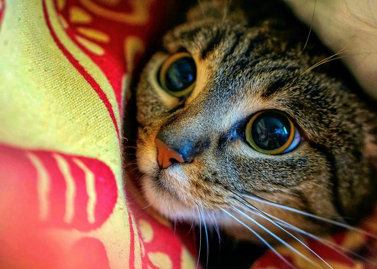 _pixelographic's tweet image. What can she see?