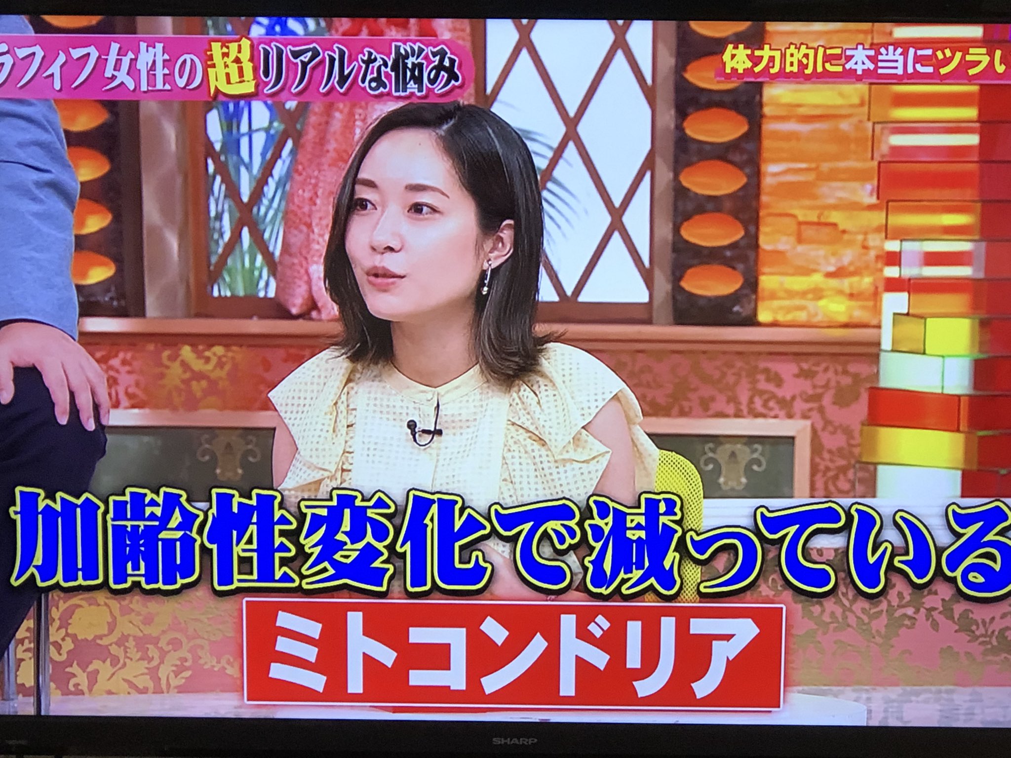 工藤あき Twitter Search Twitter