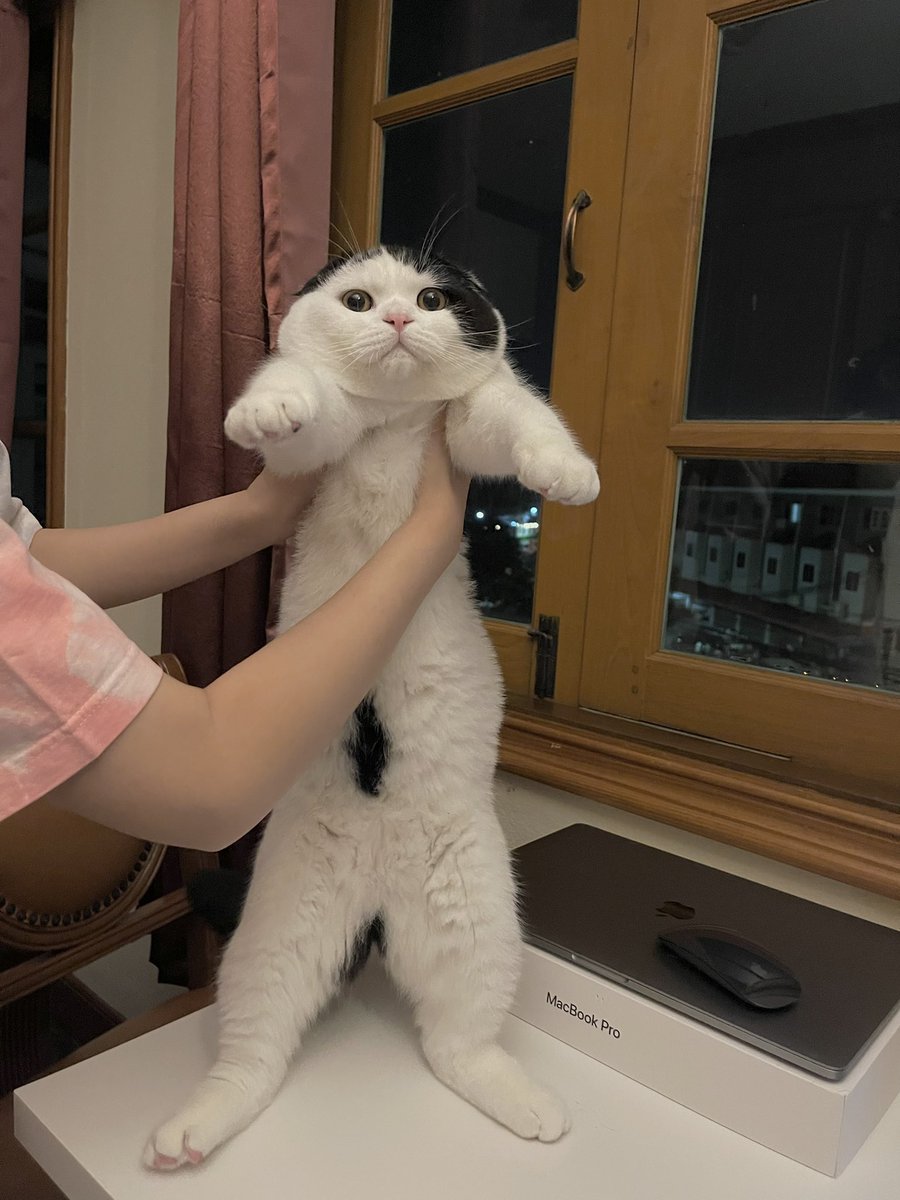 ไปเจอทริคถ่ายให้ผอมสูงมา เขาบอกให้เท้าชิดขอบ เหนือหัวเหลือพื้นที่เยอะๆ แล้วทำไมมันยังดูอ้วนอยู่อะ