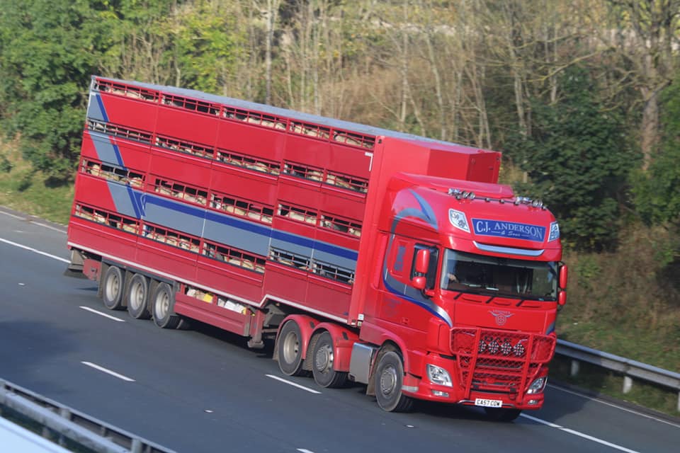Houghton_P_Ltd's tweet photo. A range of Professional Livestock Transporters spotted on the #m6
📷by Thomas Salkeld
#houghtonparkhouse #livestock #livestocktransport #livestocktrailer #livestockhaulage #cjanderson #wmarmstrong #ajewing https://t.co/t0mdJe2ReR