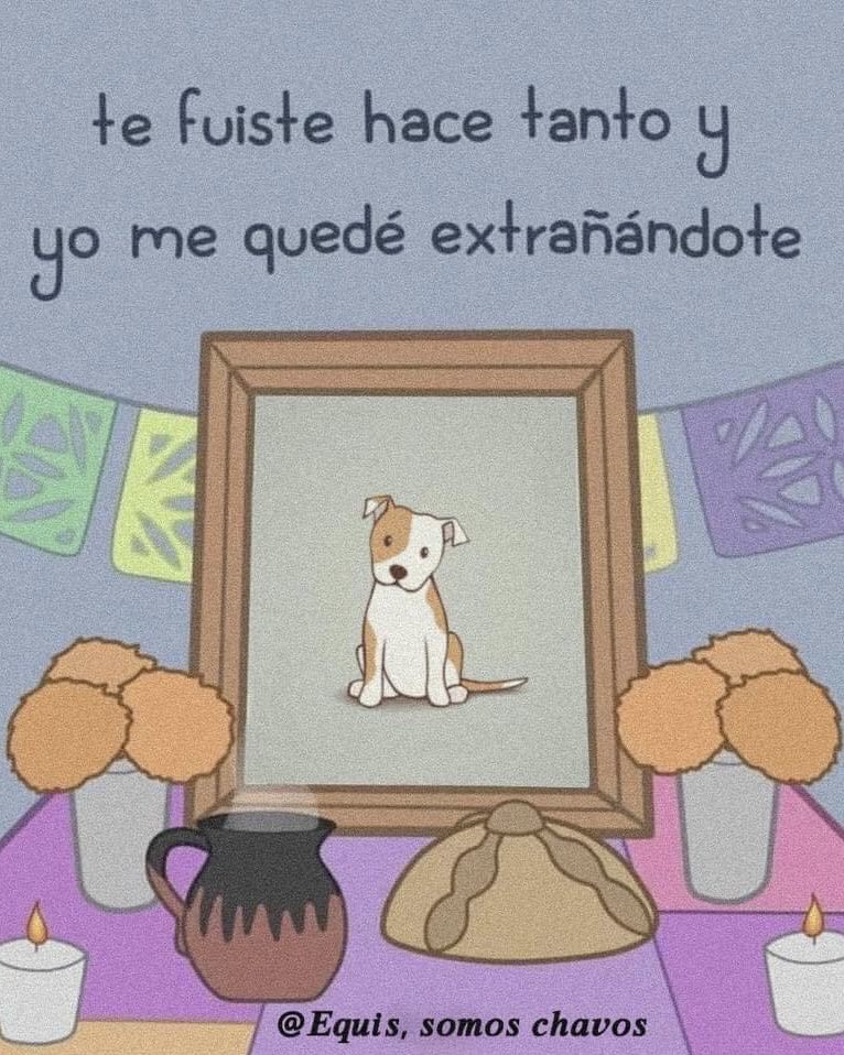 Te fuiste, pero te quedaste para siempre en mi cora 🐶😍