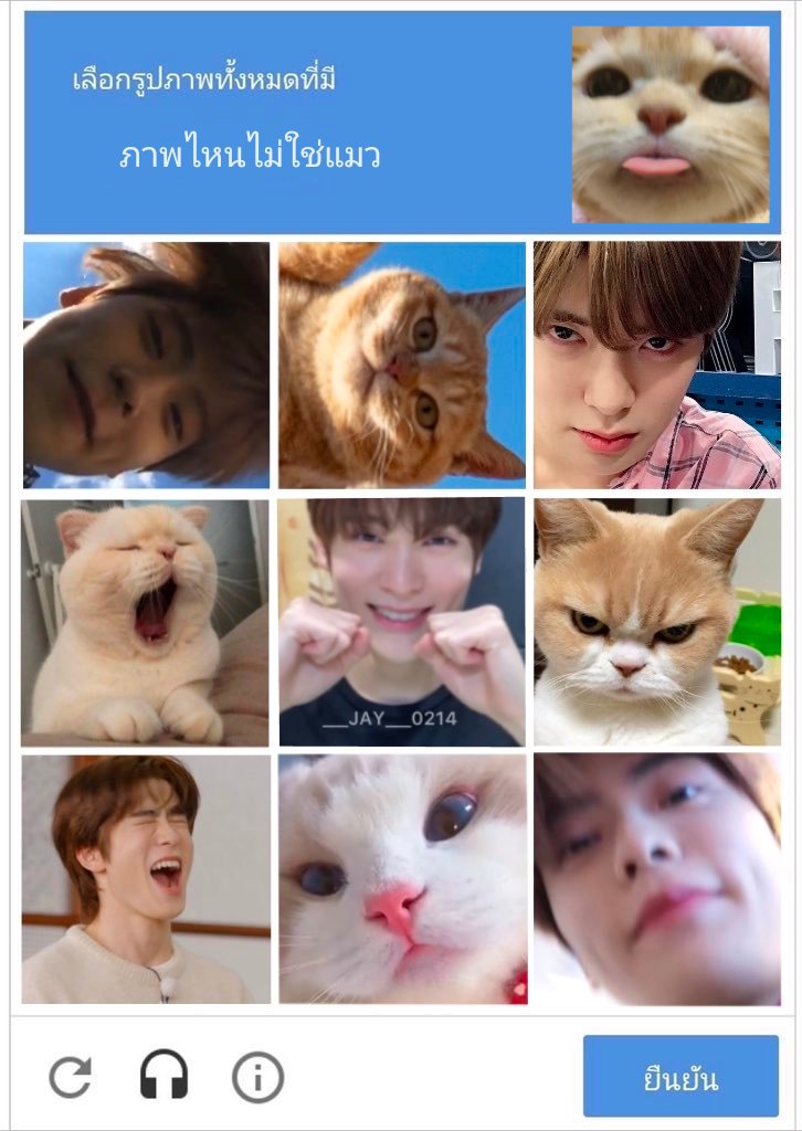 หุ่นยนต์มีรวนอะ แยกไม่ออกเพราะเห็นเป็นแมวทั้งหมด🐈♡