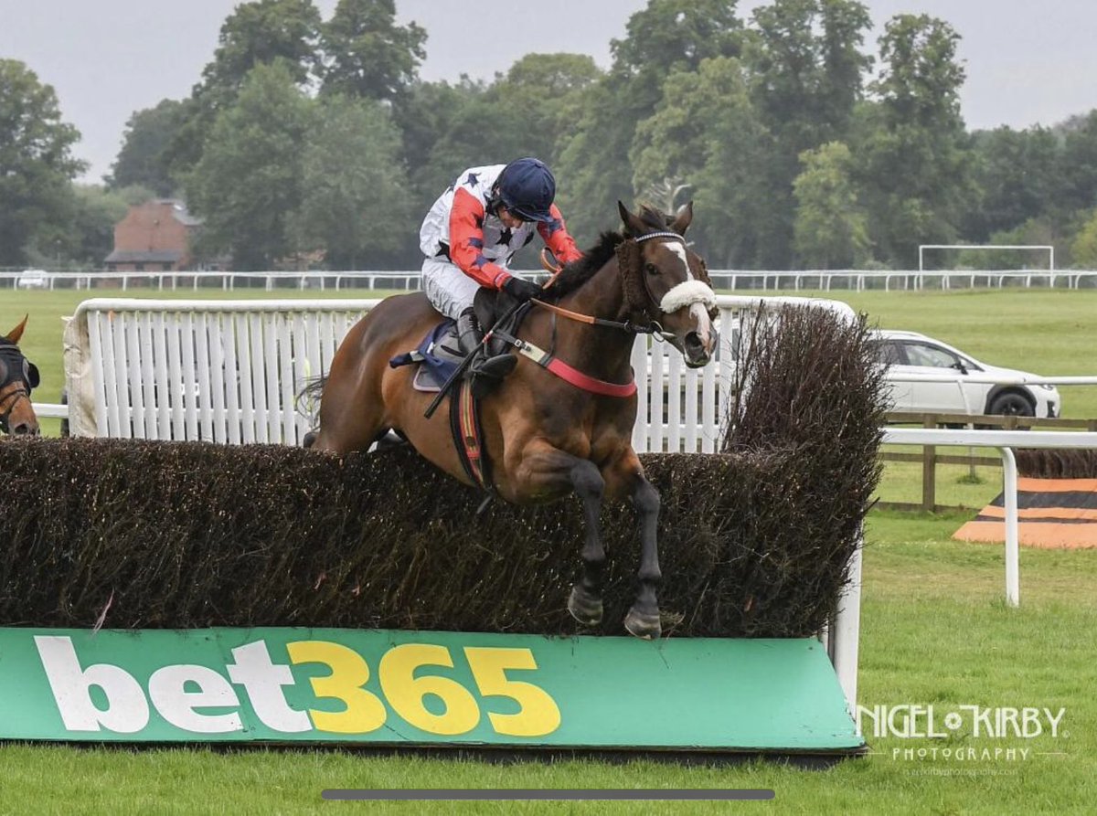 KeighleyTeam's tweet photo. Our 3rd @CheltenhamRaces runner is Debden Bank who has won his last 3 races &amp; will be partnered by James King. His partnership are pinching themselves they have a runner at Jumps HQ. They are living the dream…. @ErnestaVerburg adores Debden &amp; he adores her! Good luck Team. https://t.co/ToYvuFB6ia