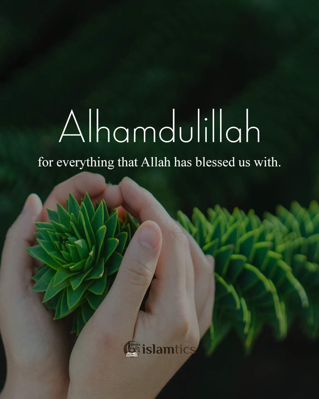 islamtics on Twitter: