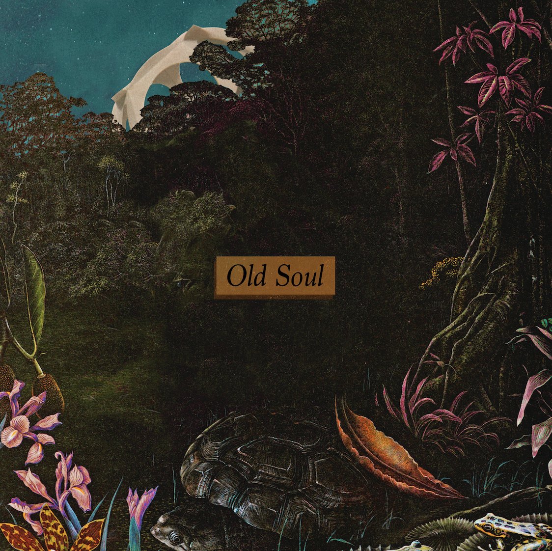 deltasleep's tweet photo. 💔 OLD SOUL 💔 

🎧 - 
https://t.co/yHtLSl7nHQ https://t.co/5zfFLdZQH7