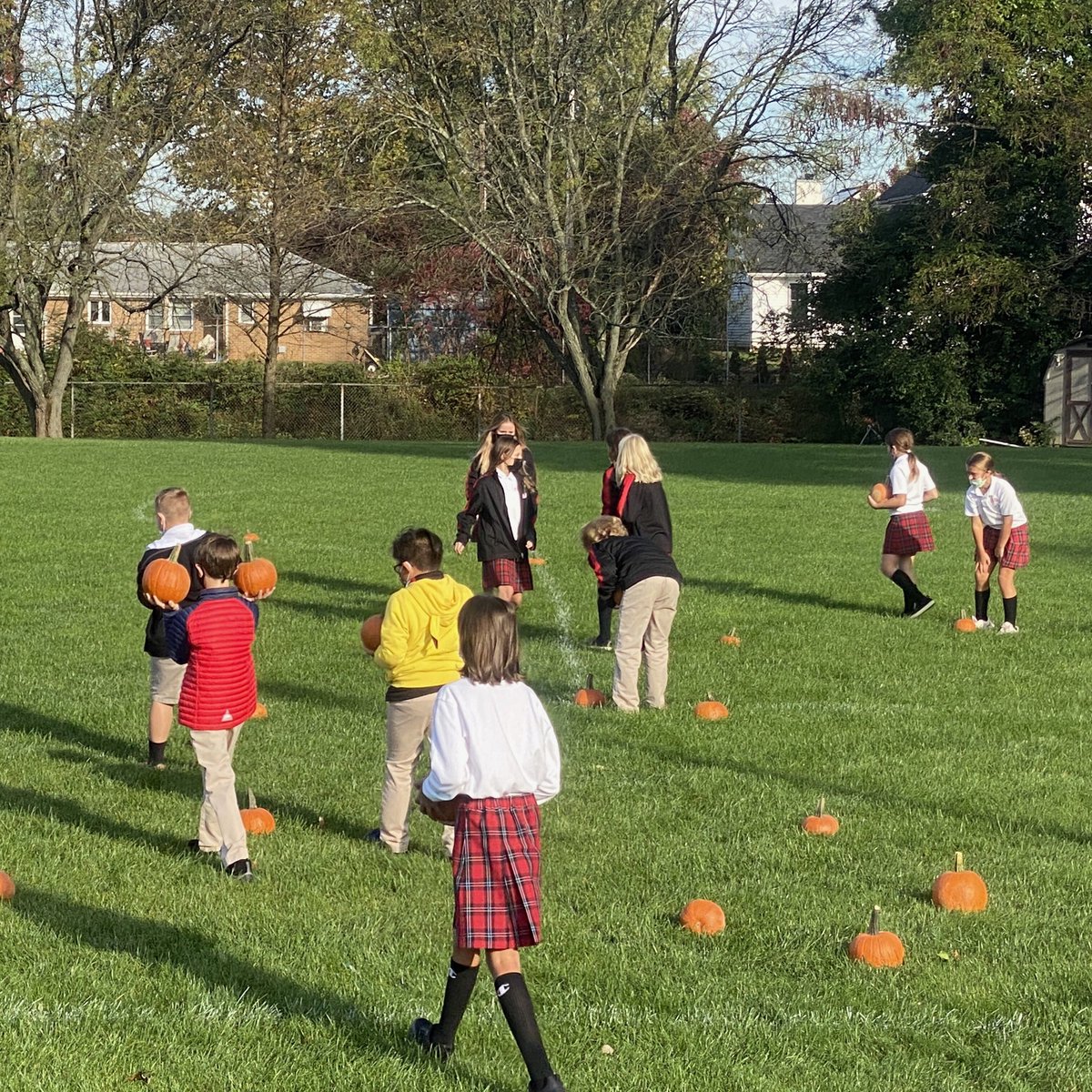 stmschoolatown's tweet image. #STMspirit All set up for K-4’s Pumpkin Patch Day! 5th grade set up the pumpkin placement and will be helping the littles with the activities like witch hat ring toss and mummy bowling! #STMfun #theSTMdifference 🖤❤️🎃🧙‍♀️
