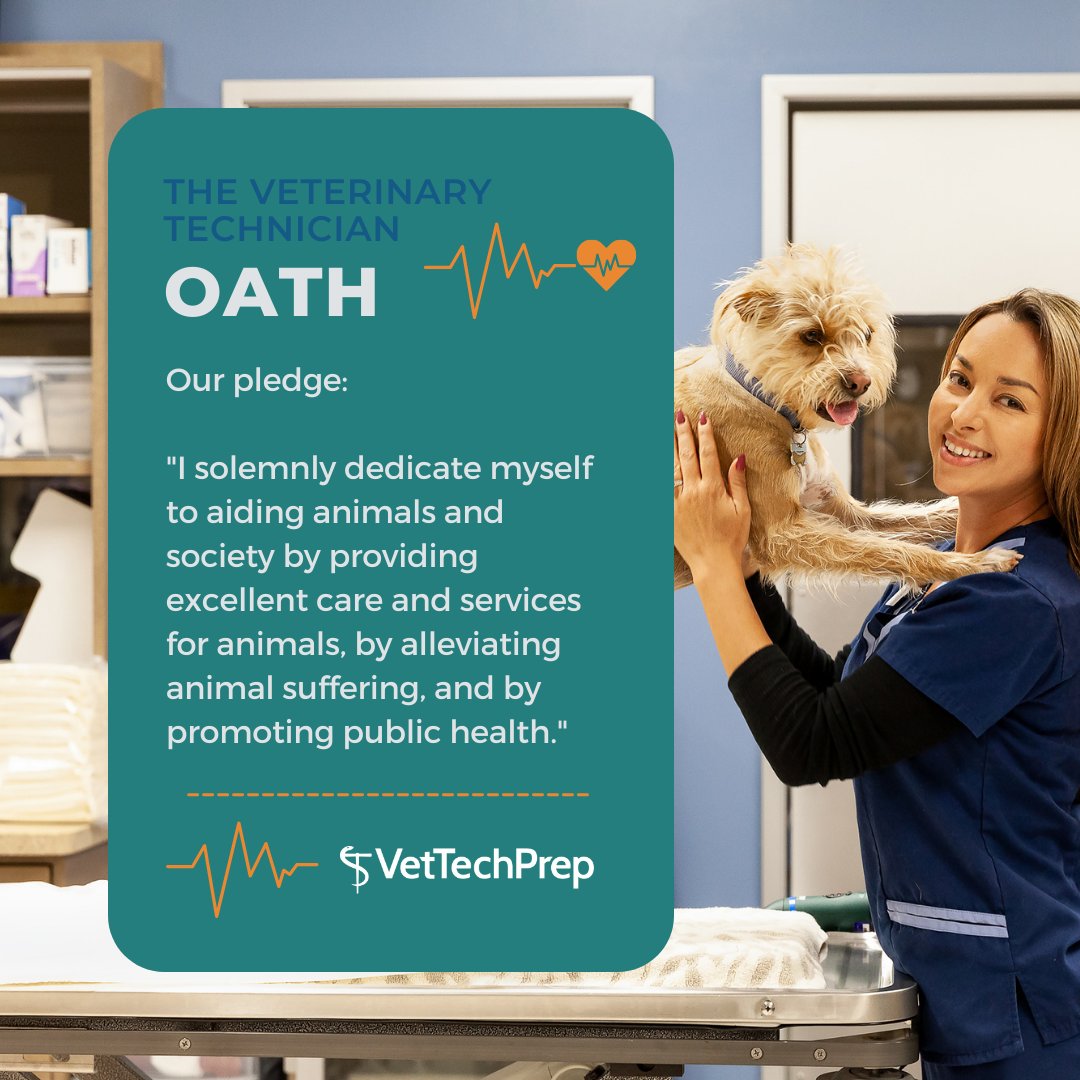 VetTechPrep on Twitter: VetTechPrep on Twitter: