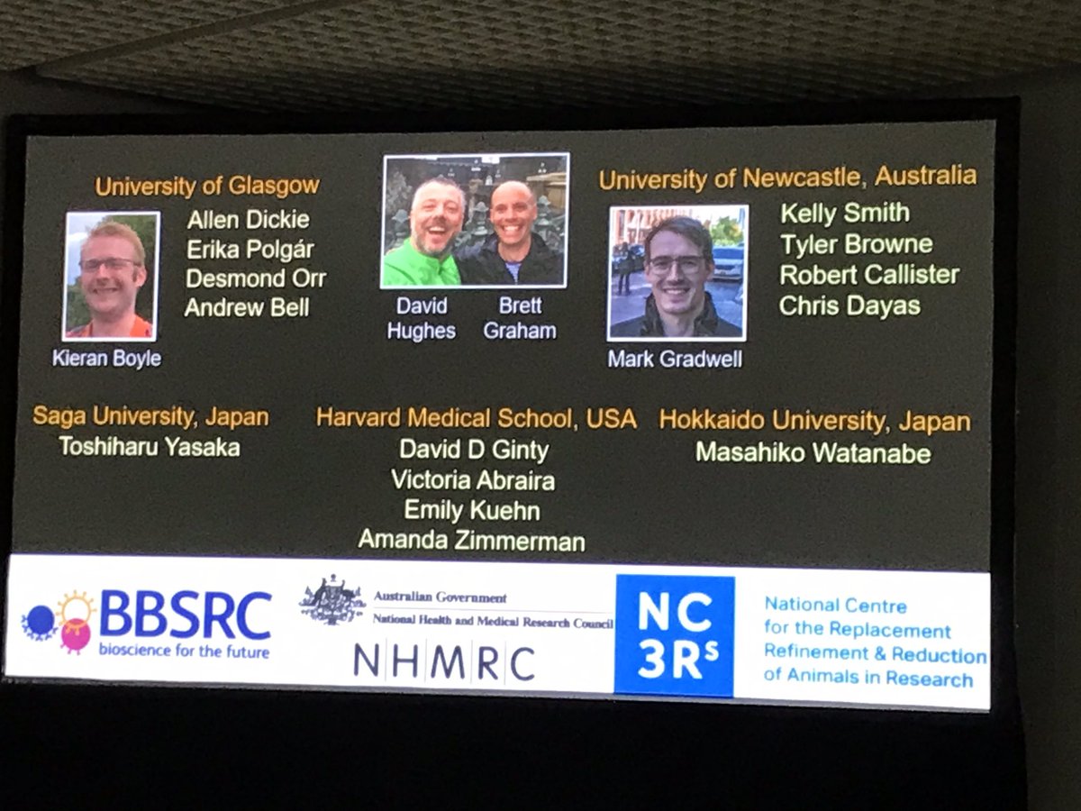 Presynaptic inhibition, old but overlooked player in neuropathic pain. Elegant summary of great work by <a href="/DaveHughes_Gla/">Dave Hughes</a> and collaborators presented at <a href="/APain2021/">AlicantePain2021</a>