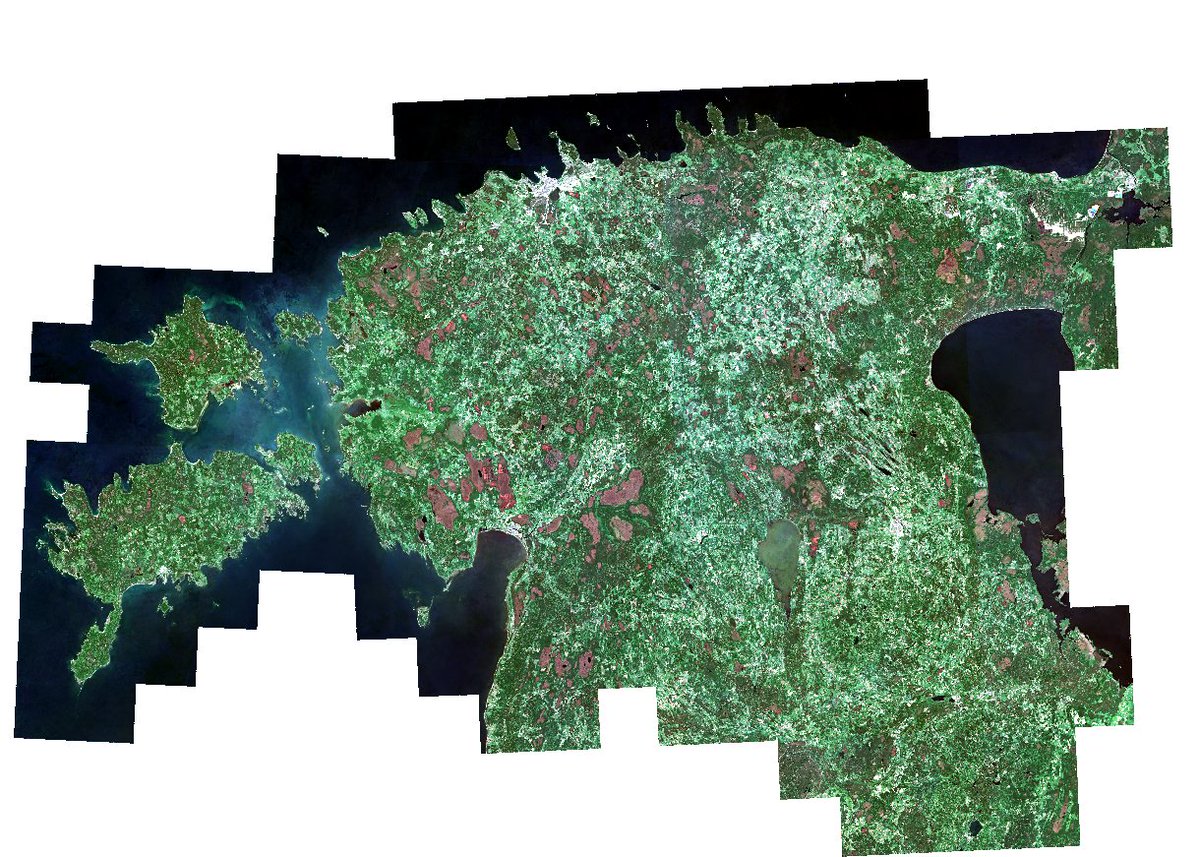 Behzad Valipour Sh. tweet media