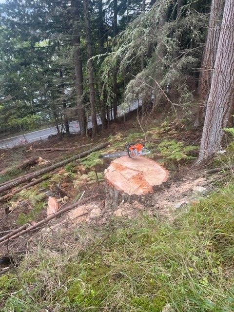 A82operations's tweet photo. All going well with our work at Grotaig. Some big trees already down! https://t.co/1Ph9qyPKay