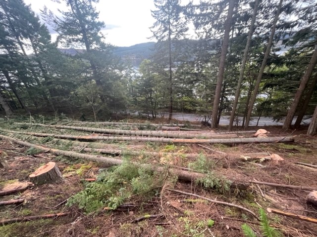 A82operations's tweet photo. All going well with our work at Grotaig. Some big trees already down! https://t.co/1Ph9qyPKay