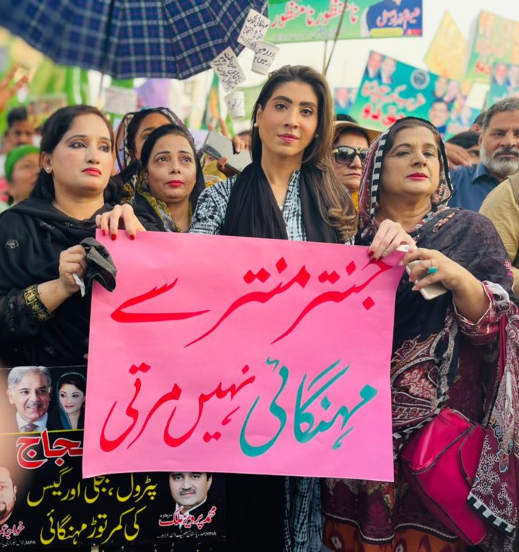 Hina Parvez Butt tweet media