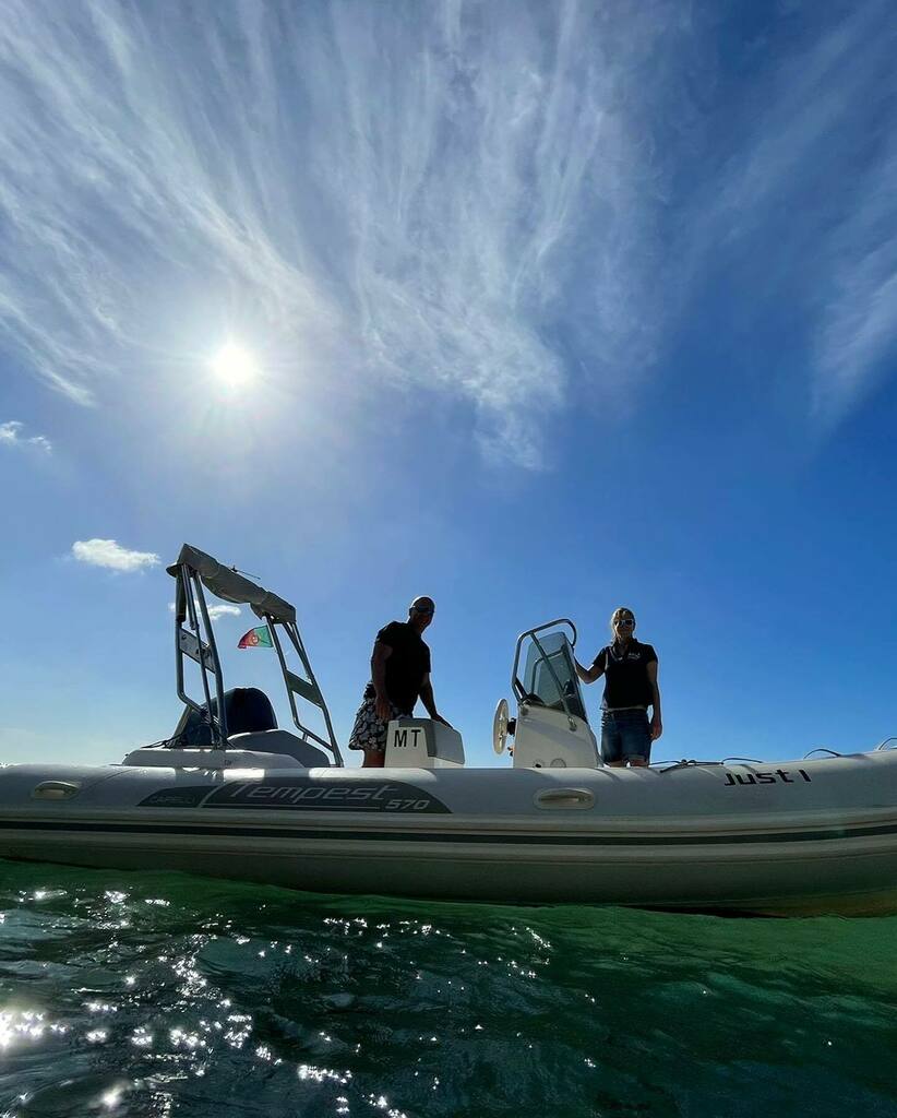 Sea For Yourself tweet media