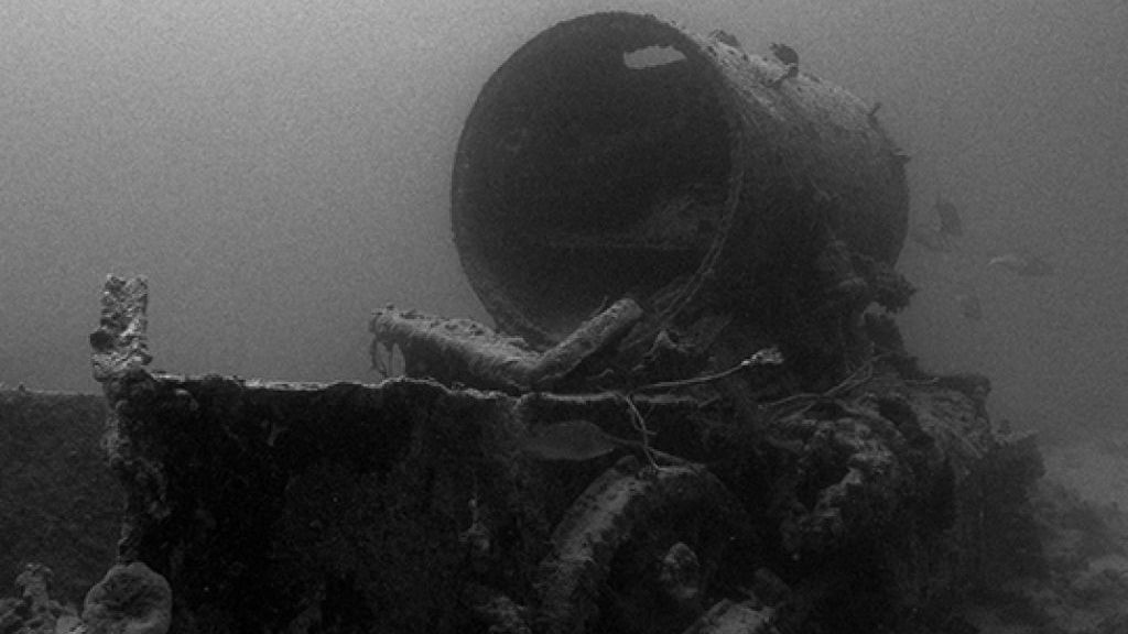 Join Scuba Scene for the ultimate Red Sea holiday - mailchi.mp/oysterdiving/j…