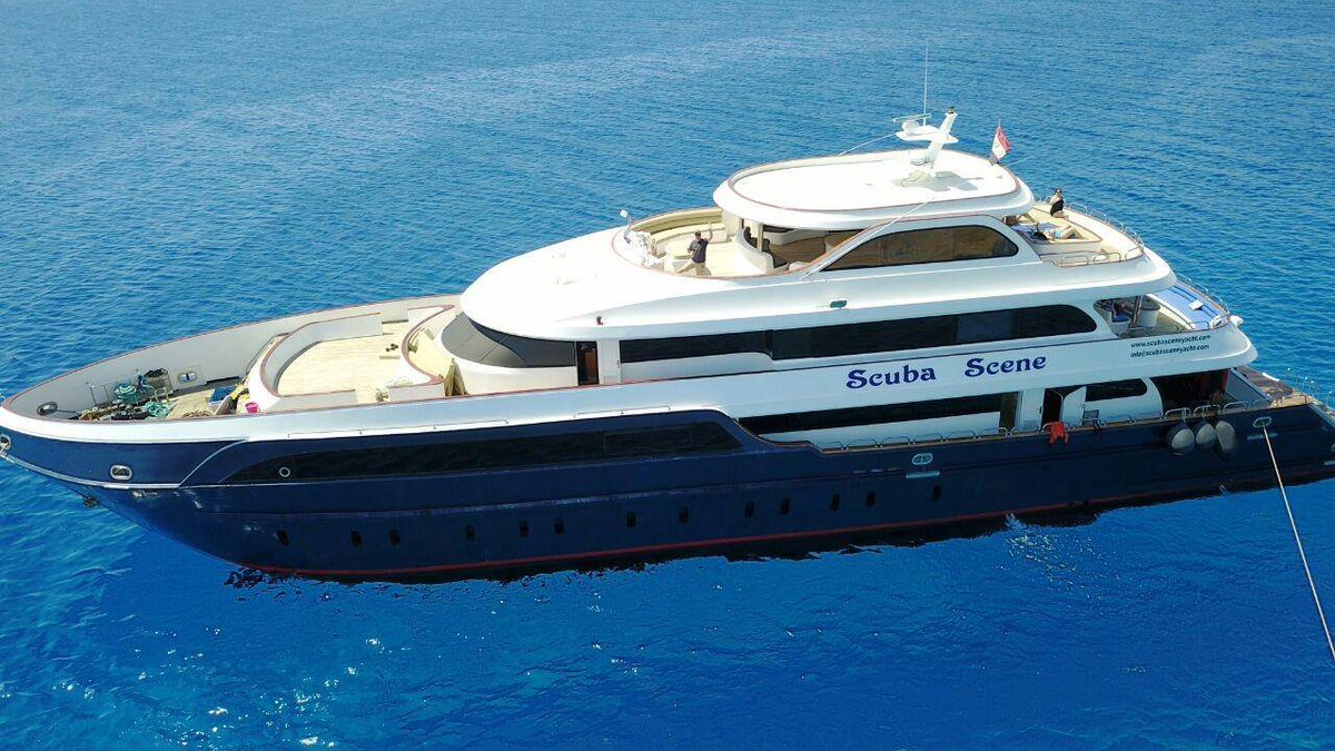 OysterDiving's tweet photo. Join Scuba Scene for the ultimate Red Sea holiday - https://t.co/yMmVVWVKdz https://t.co/P6Z4k7pw9O