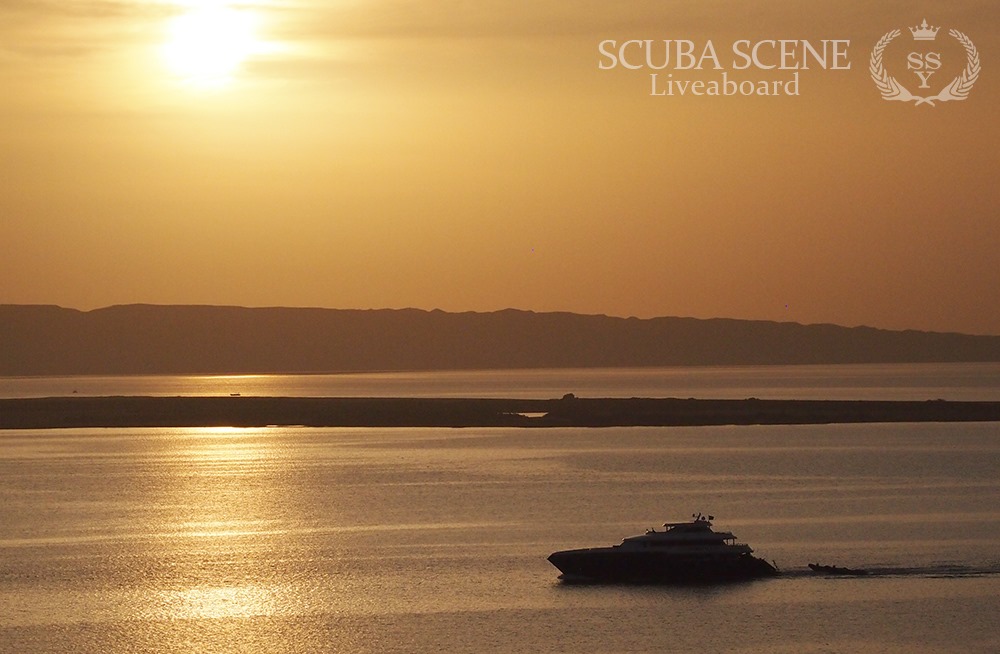 OysterDiving's tweet photo. Join Scuba Scene for the ultimate Red Sea holiday - https://t.co/yMmVVWVKdz https://t.co/P6Z4k7pw9O